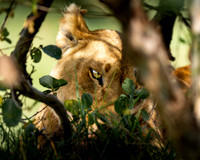 ahmed-galal-wpCMhQXrHRo-unsplash