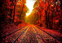 13-138630_autumn-background-wallpaper-beautiful-background-images-hd