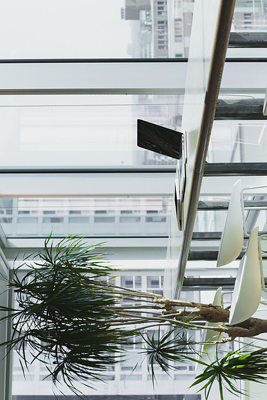 alesia-kazantceva-VWcPlbHglYc-unsplash