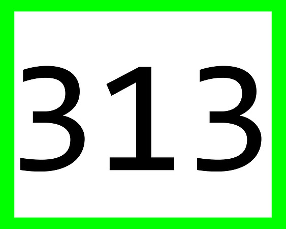 313_green