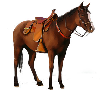 horse-and-saddle-transparent-background