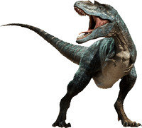 Archive and restore 12 nov 2022