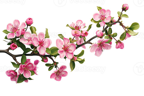 test-06022025-132536