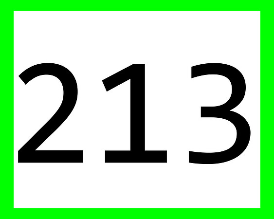 213_green