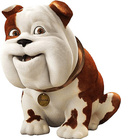 churchill-insurance-dog