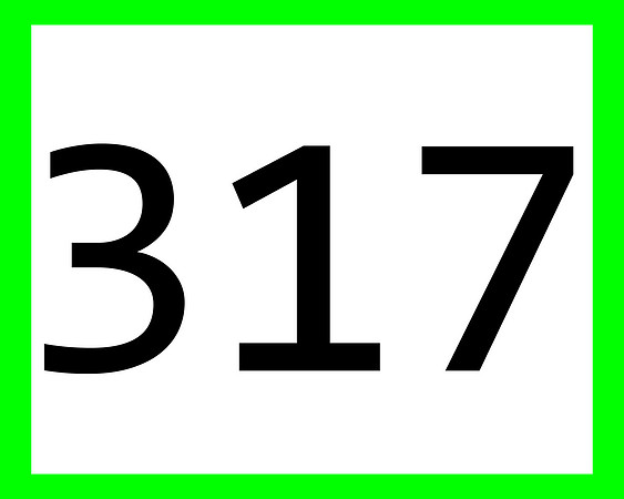 317_green
