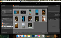Screenshot 2026-06-19 at 19.00.10