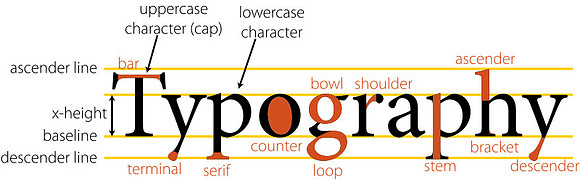 Anatomy_of_type_-_typography