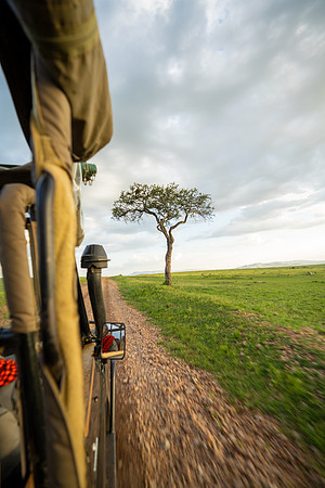 ahmed-galal-un4w5lmJrFU-unsplash