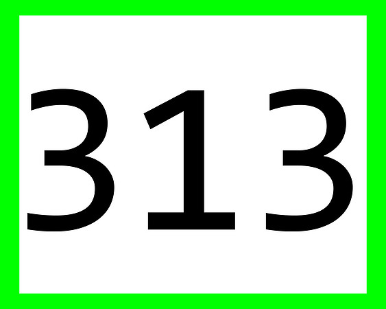 313_green