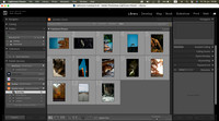 Screenshot 2026-06-19 at 19.58.53