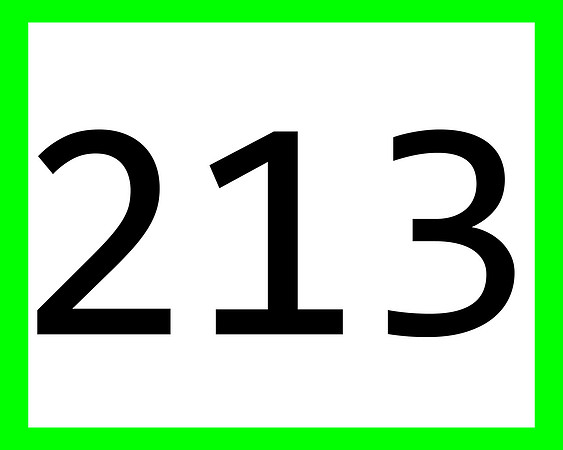 213_green