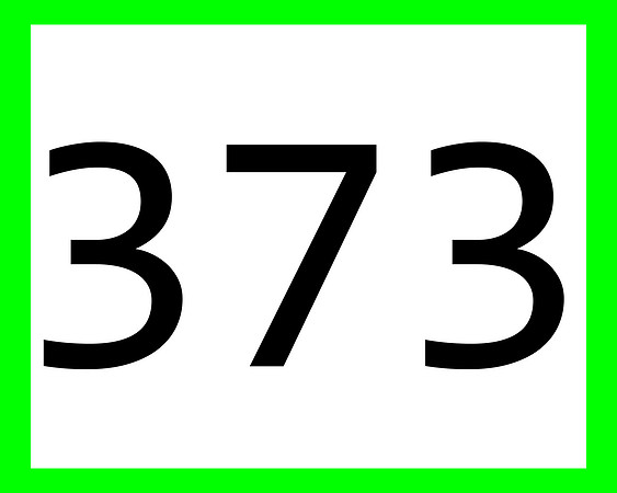373_green